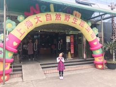 -上海大自然野生昆虫馆(东方明珠·爬宠昆虫探索中心)