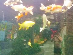 -弘安丽水温泉酒店
