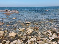 -养马岛旅游度假区