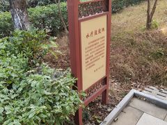 -英德宝晶宫天鹅湖茶语温泉