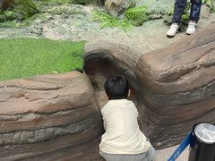 -辽宁古生物博物馆