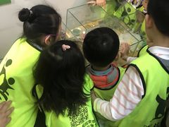 -上海大自然野生昆虫馆(东方明珠·爬宠昆虫探索中心)