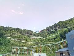 -长沙黑麋峰国家森林公园