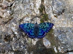 -宁波五龙潭景区