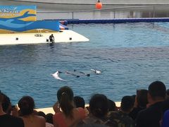 -秦皇岛乐岛海洋王国