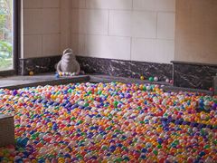 -海口观澜湖火山温泉谷