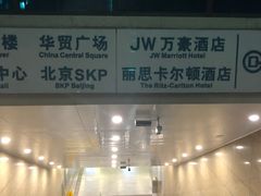 -大望路(地铁站)