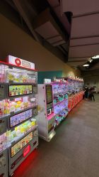 -玩元素·家庭游乐成长中心(香格里拉店)