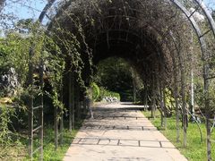 -人民公园(罗湖区)