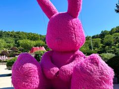 -石岛赤山风景区