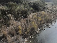 -曾氏肥肠馆(凯瑞雅居店)