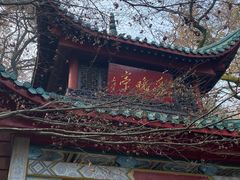 -岳麓山风景名胜区