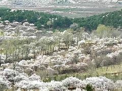 -十三陵水库