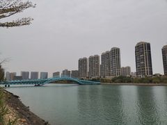 -五缘湾湿地公园