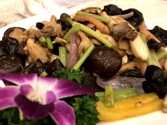 -顺德人家食府(黄金广场店)