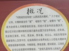 -大槐树寻根祭祖园