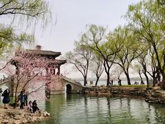 -颐和园