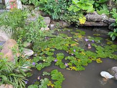 -深圳国际园林花卉博览园