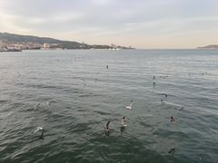 -幸福门