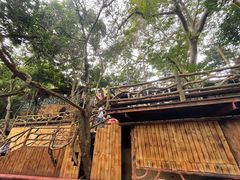 -海南槟榔谷黎苗文化旅游区