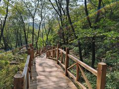 -大岭沟猕猴桃谷风景区