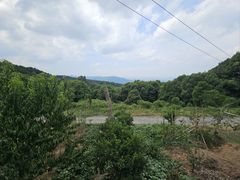 -金水泊山庄·花椒鸡(铁山坪店)