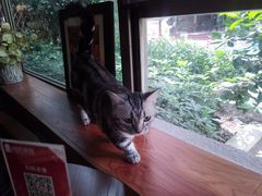 -咖法森林·咖啡  酒吧(天河店)