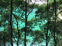 -广州市流溪河国家森林公园