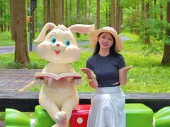 -黄海国家森林公园