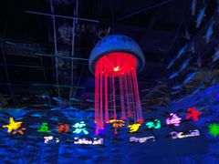 -泉城欧乐堡海洋极地世界