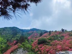 -木兰云雾山