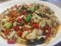 泡椒脆肚-鸡毛店·川菜(双楠店)