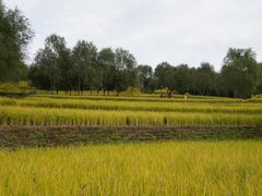 -北坞公园