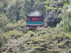 -岳麓山风景名胜区