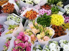 -秦美花卉(天朗·莱茵小城2期店)