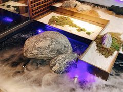 -山葵家·创意料理(宁波来福士店)