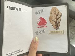 -陕西自然博物馆