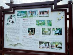 -鼎湖山风景区