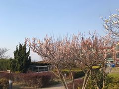 -汇泉广场