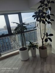 -HEYAN荷妍专业脱毛连锁机构