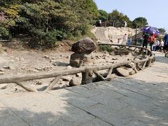 -梧桐山风景名胜区