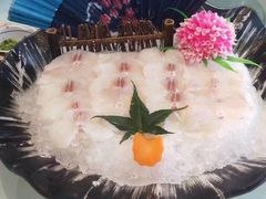 河豚-中苑海韵