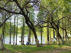 -番禺大夫山森林公园