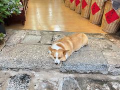 -民食香·腊排骨野生菌美食(木府店)