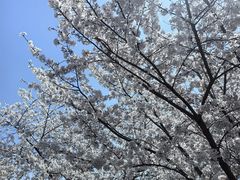 -苏州上方山国家森林公园
