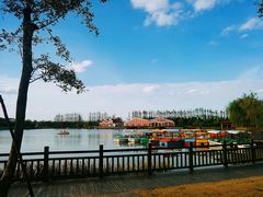 -上海长兴岛郊野公园