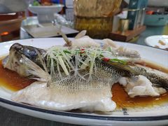 清蒸鲈鱼-寻乡迹· 湖南家宴(竹坑店)