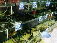 -南海渔家•海鲜•正宗海南菜(海棠湾店)