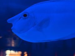 -上和臻品中国菜(花园街店)