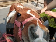 -波塞冬旅游度假区